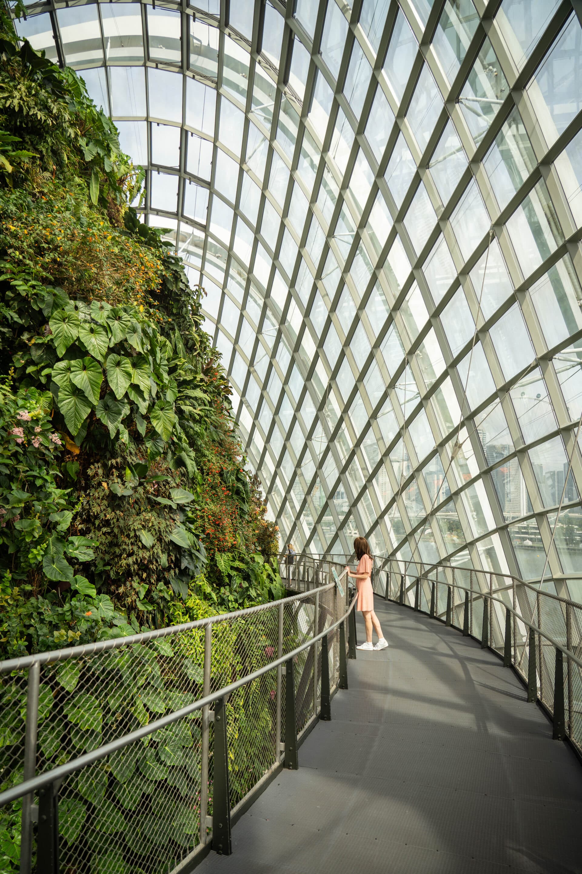 cloud forest singapour