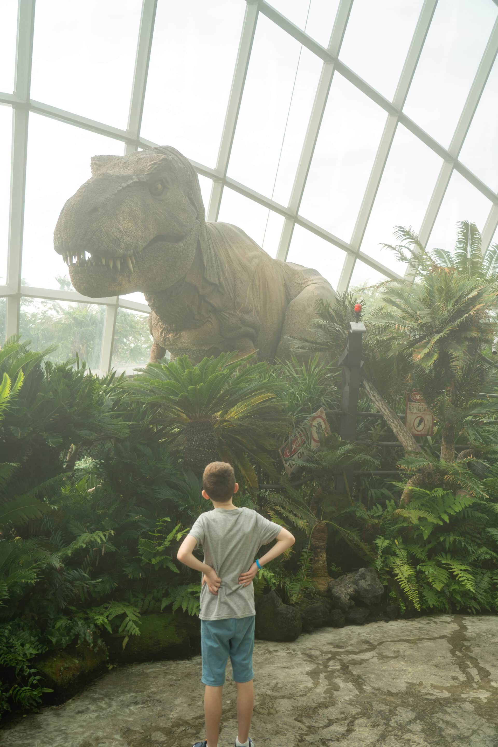 cloud forest avec enfant