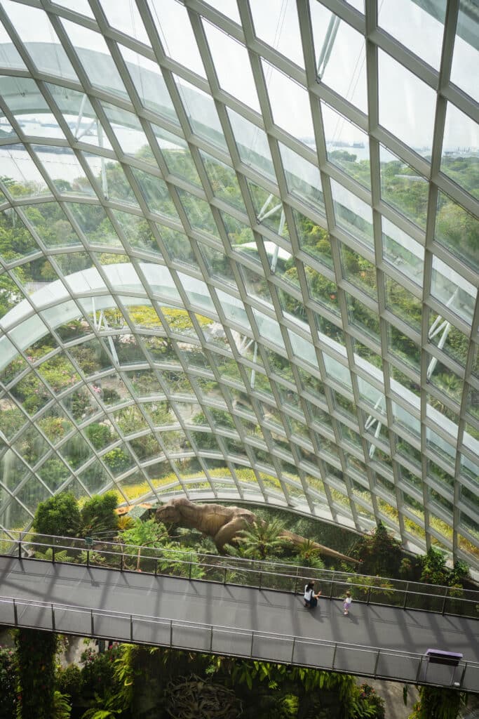 cloud forest singapour