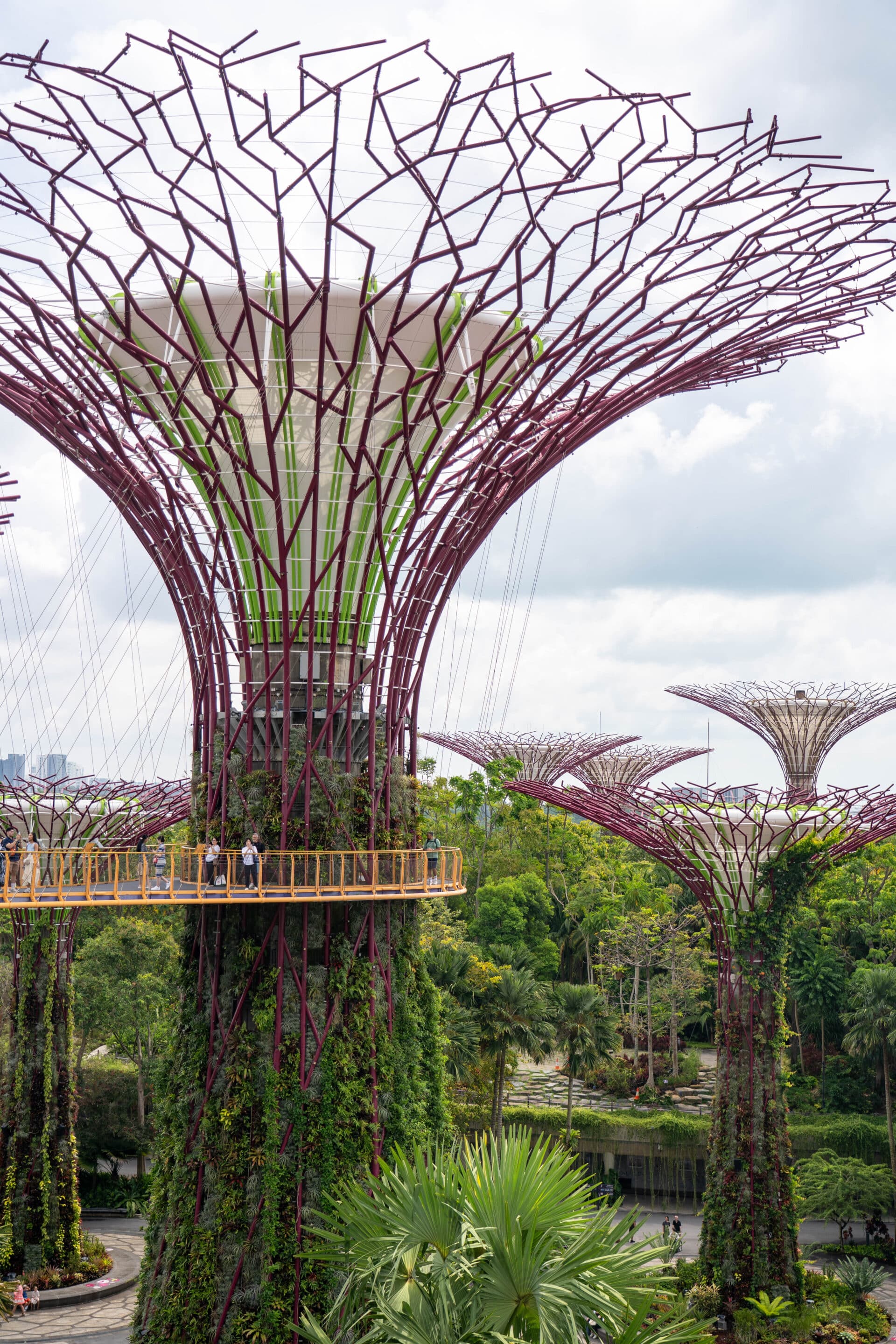 passerelle supertrees singapour