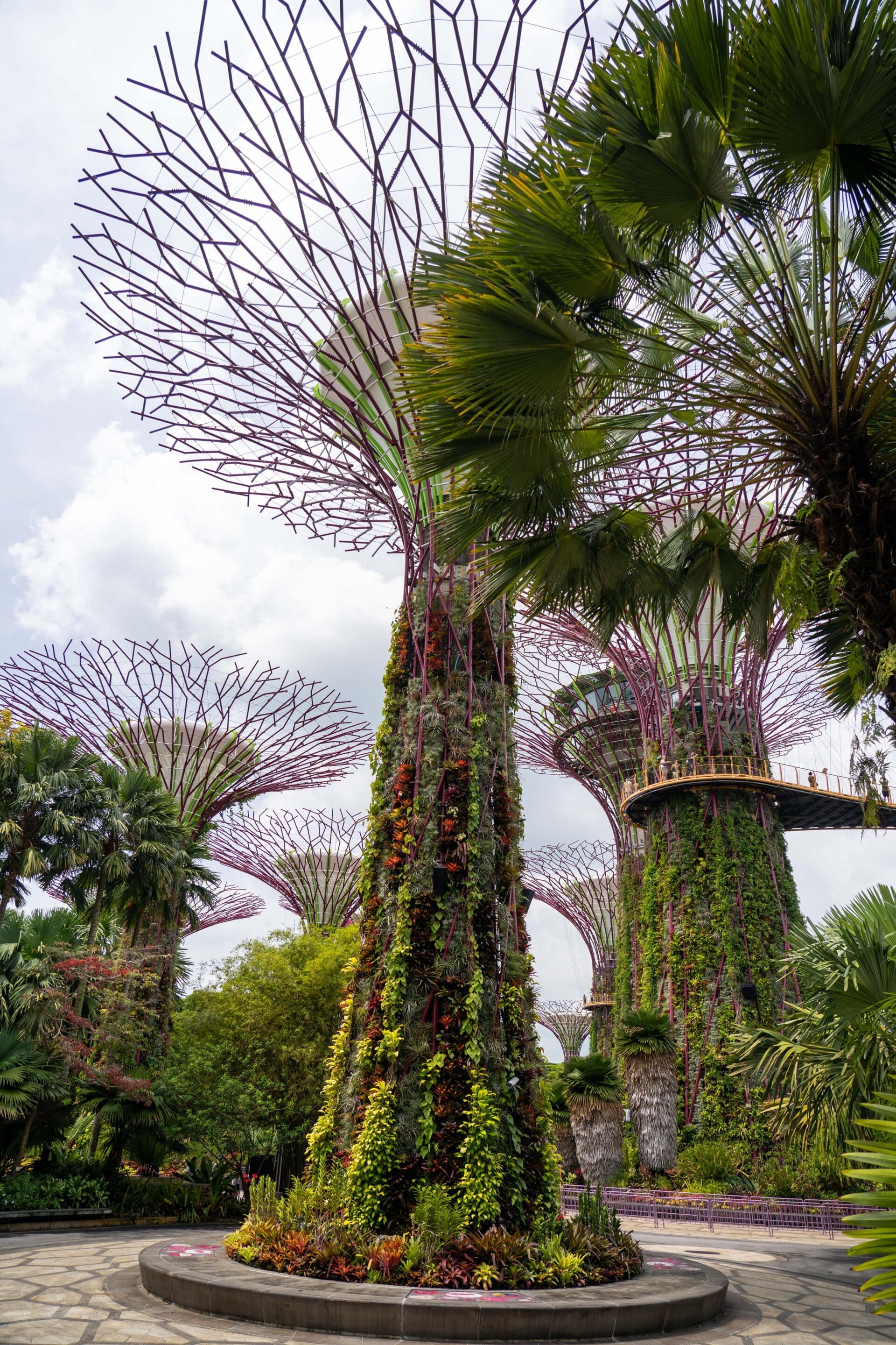supertrees arbres singapour