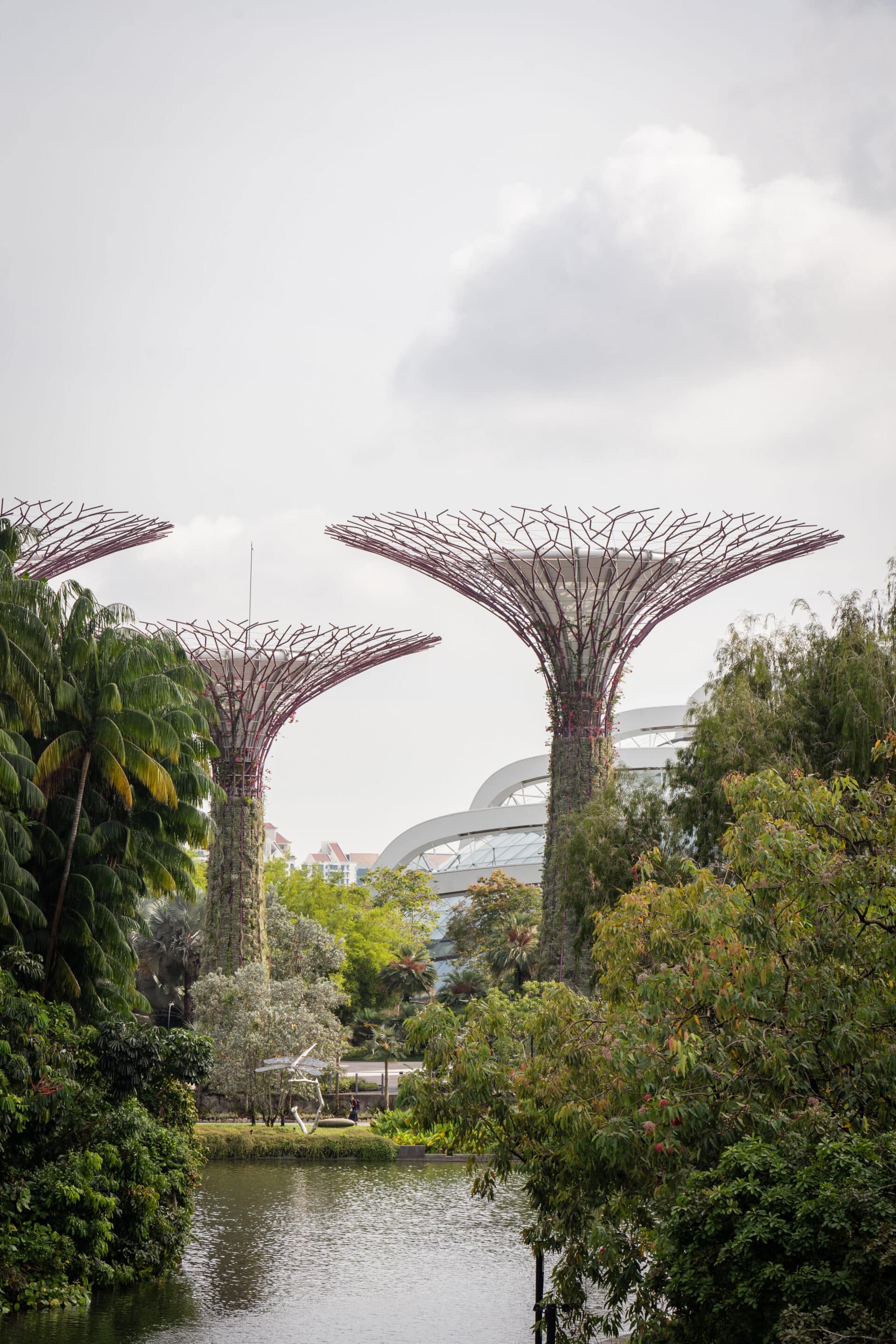 supertrees singapour
