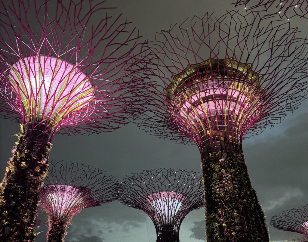 supertrees spectacle