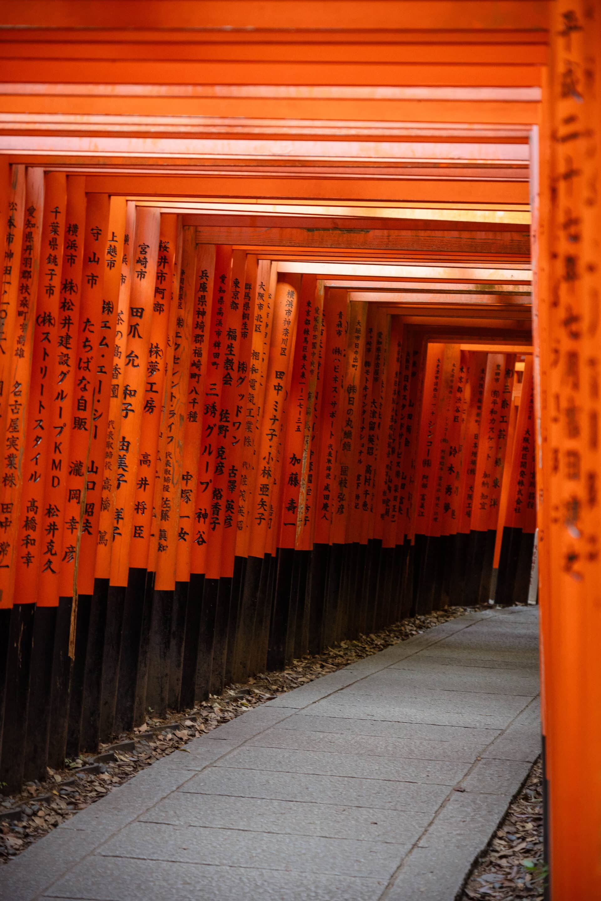 Fushimi Inari kyoto