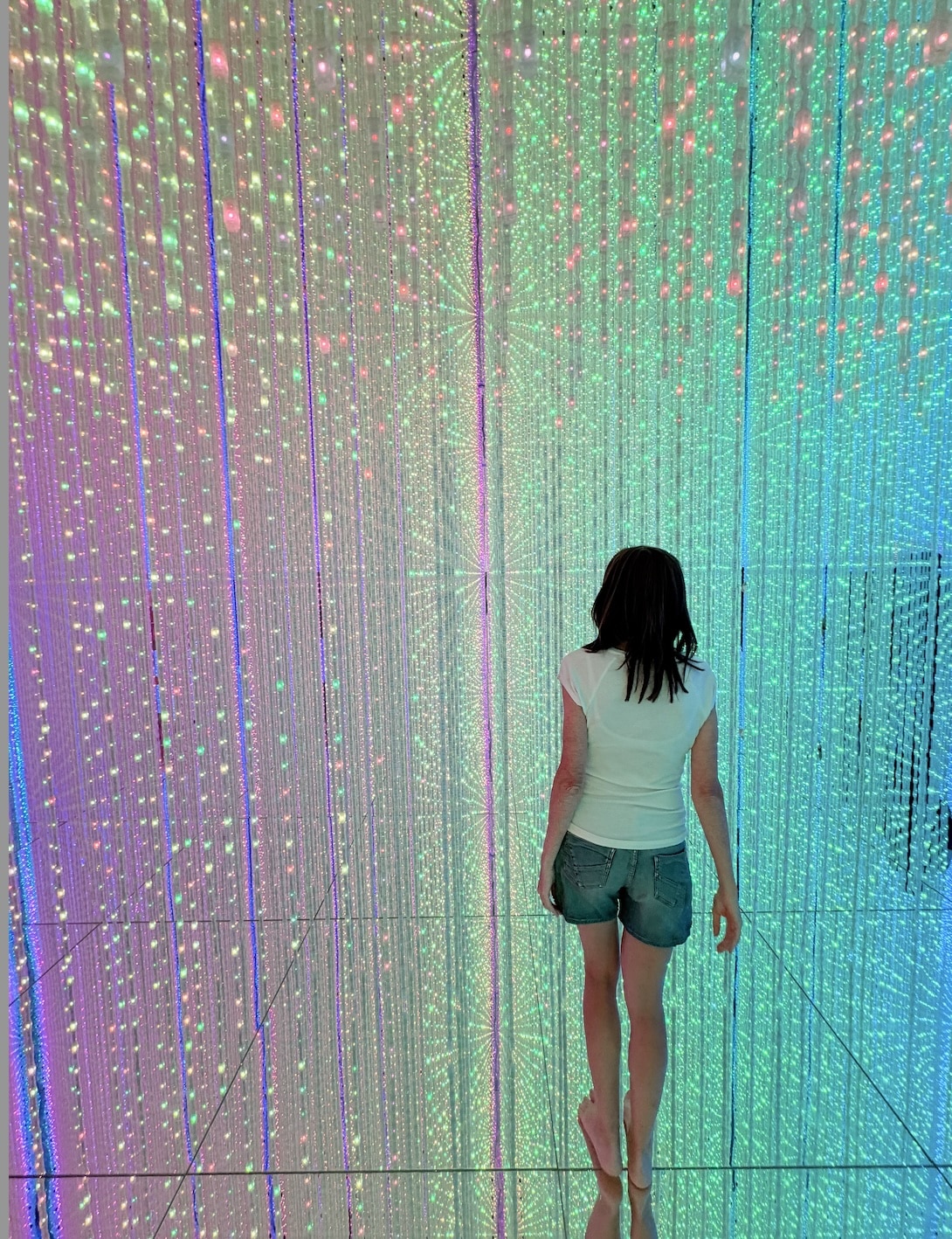 TeamLab Planets Tokyo