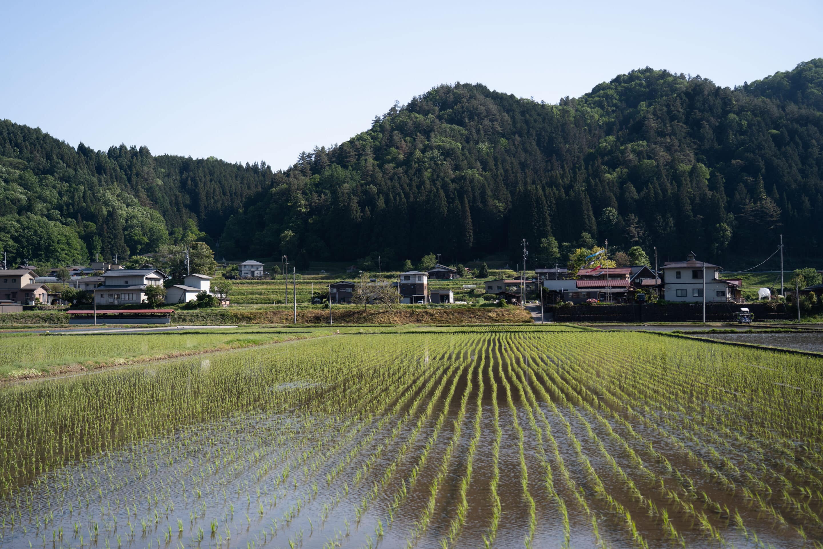 paysages japon