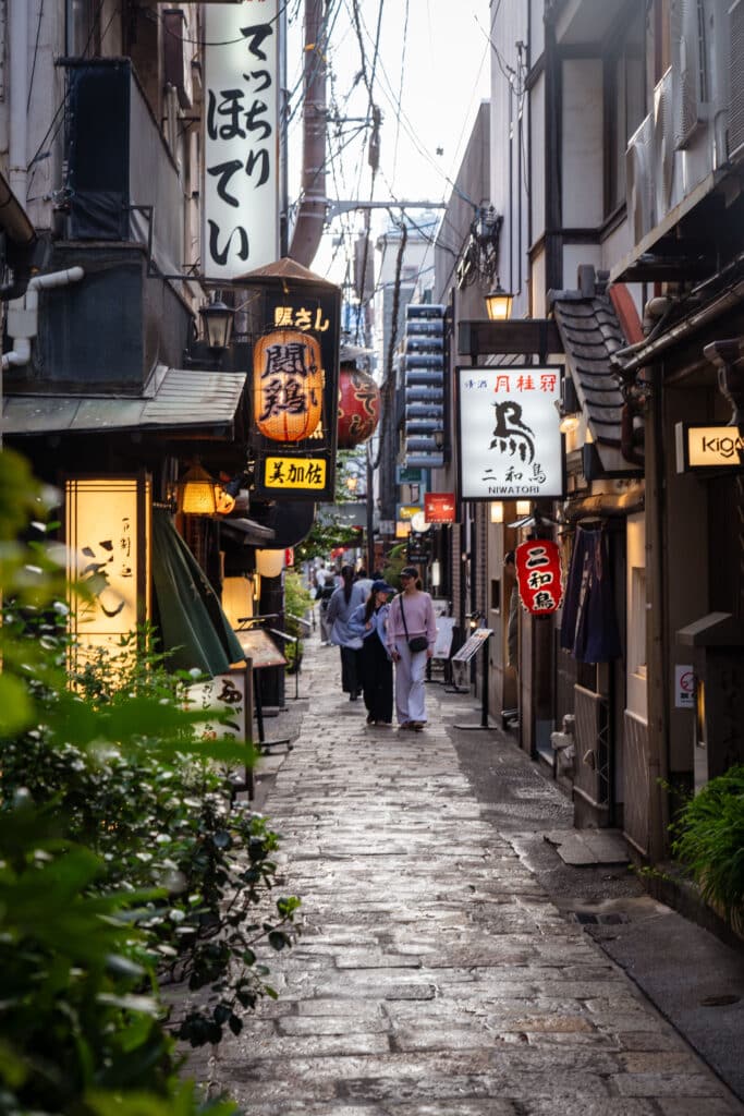 ruelle Hozenji Yokocho osaka