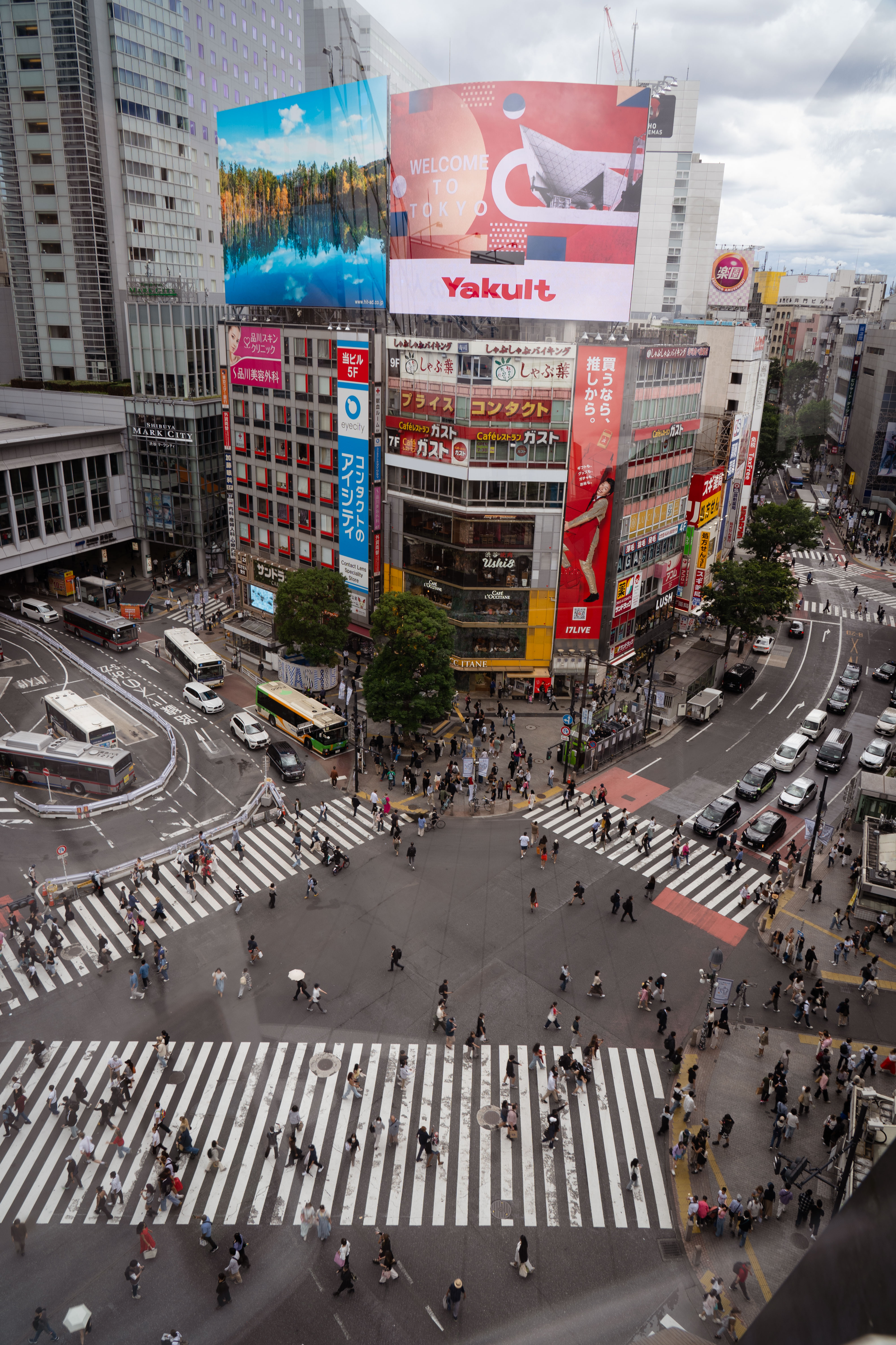 shibuya crossing