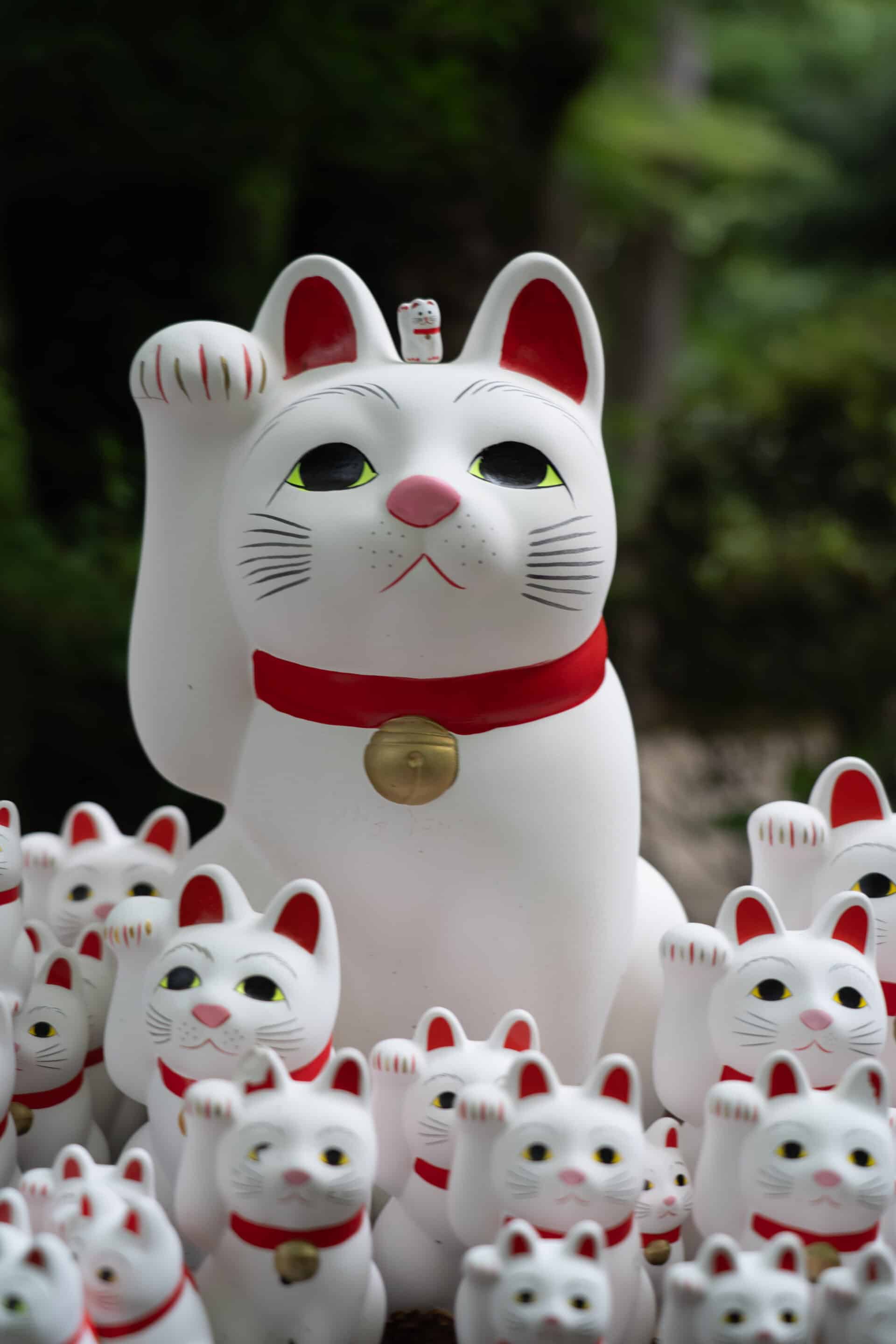 temple chat tokyo