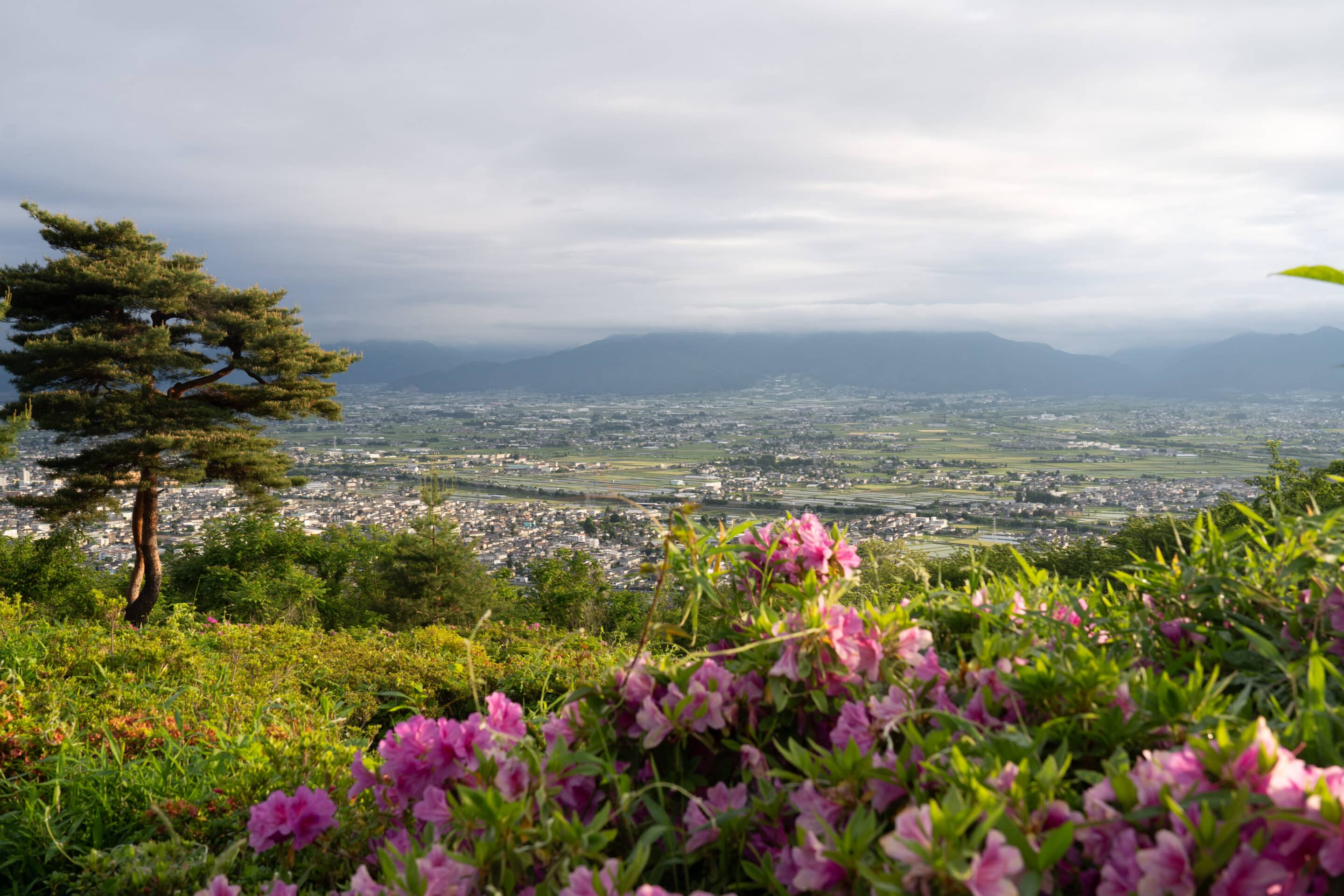 vue matsumoto