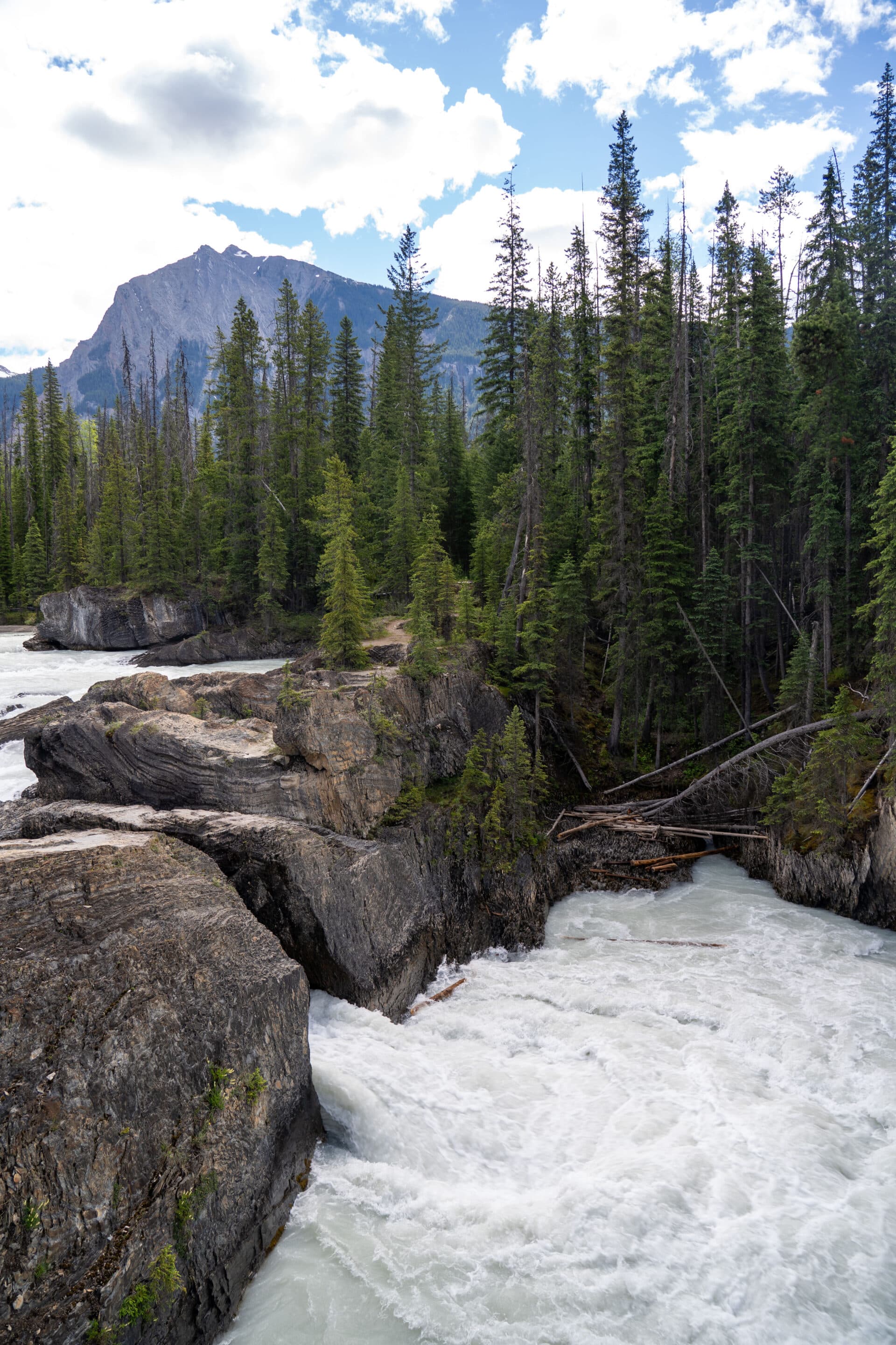 natural bridge yoho canada