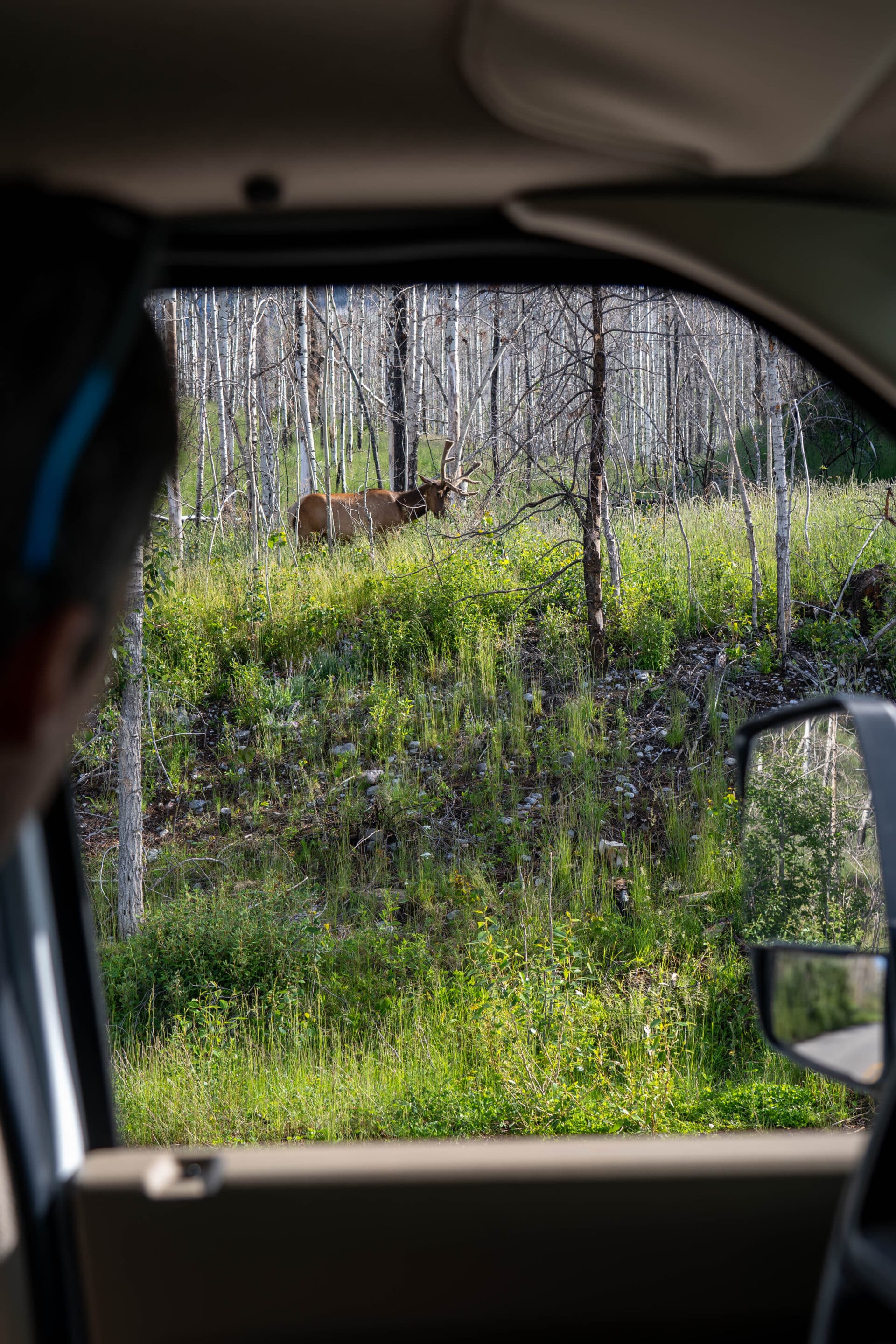 road trip camping car rocheuses
