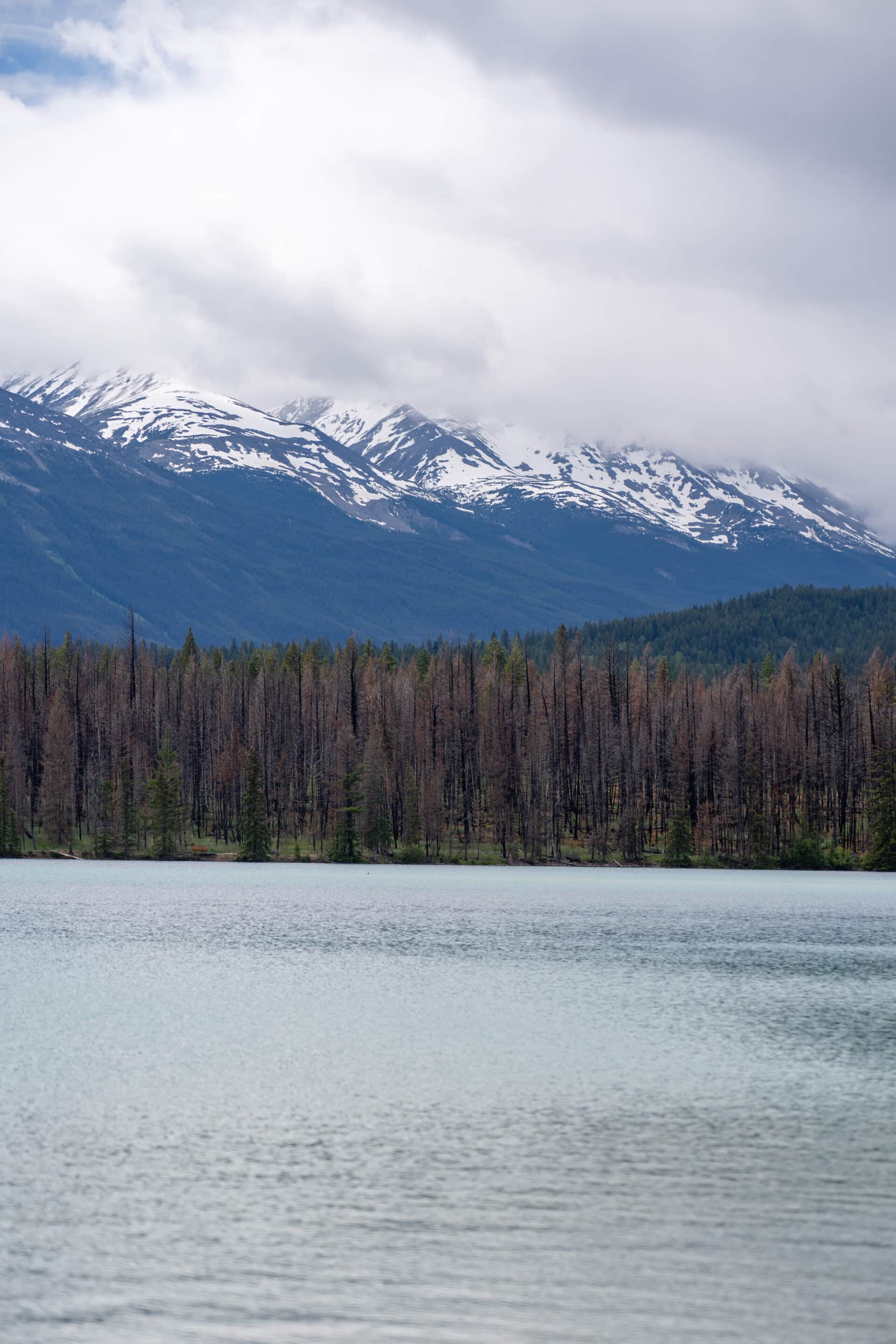 lac annette jasper