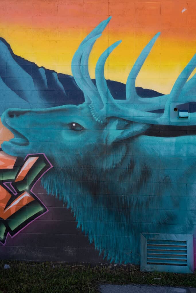 street art canmore
