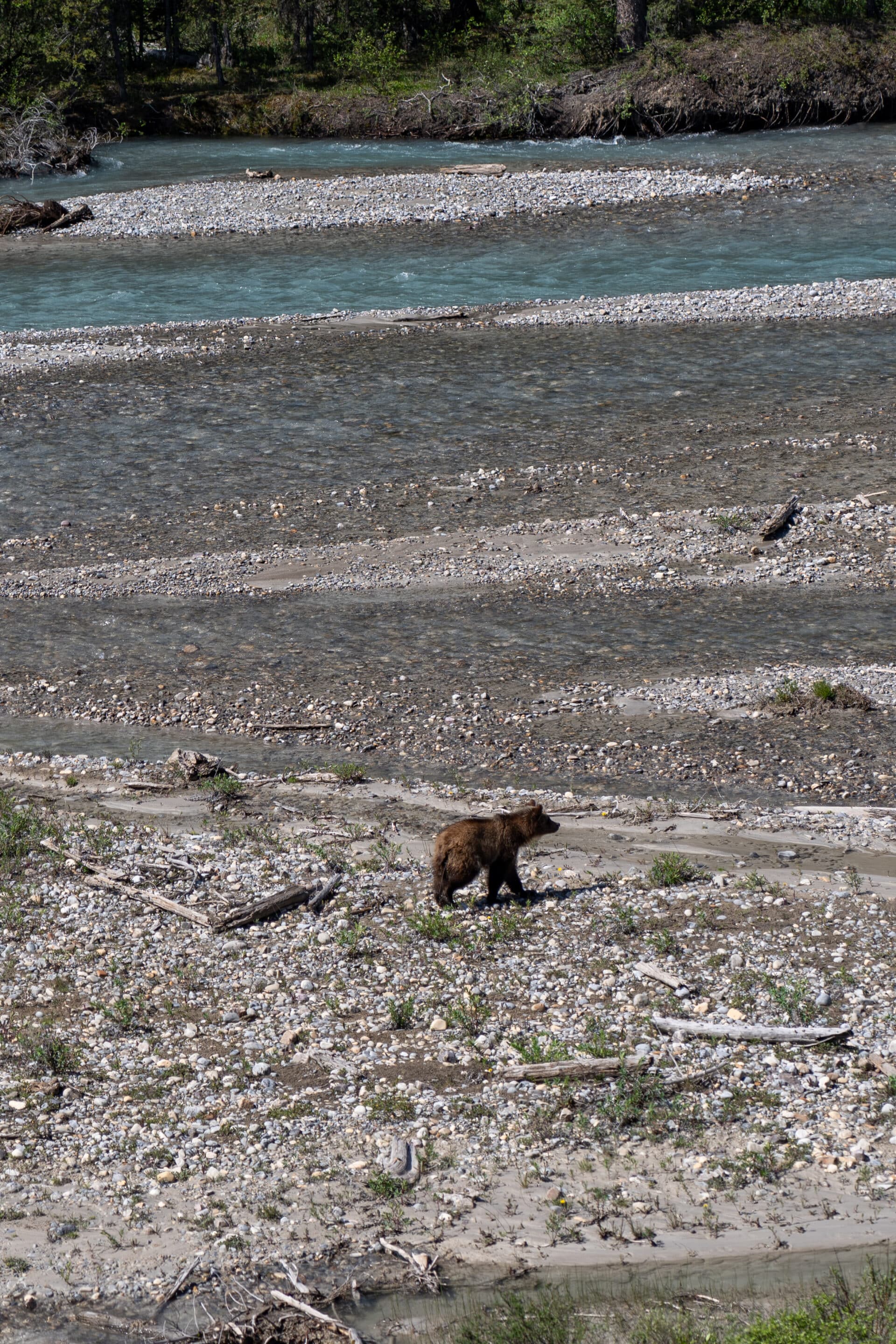 ours voyage canada
