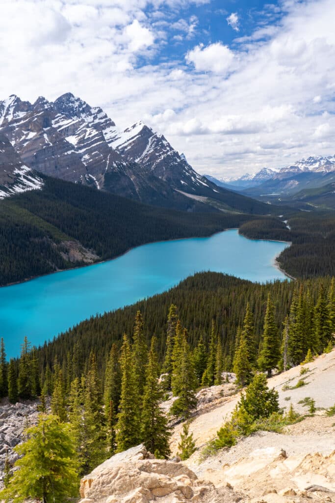 peyto lake