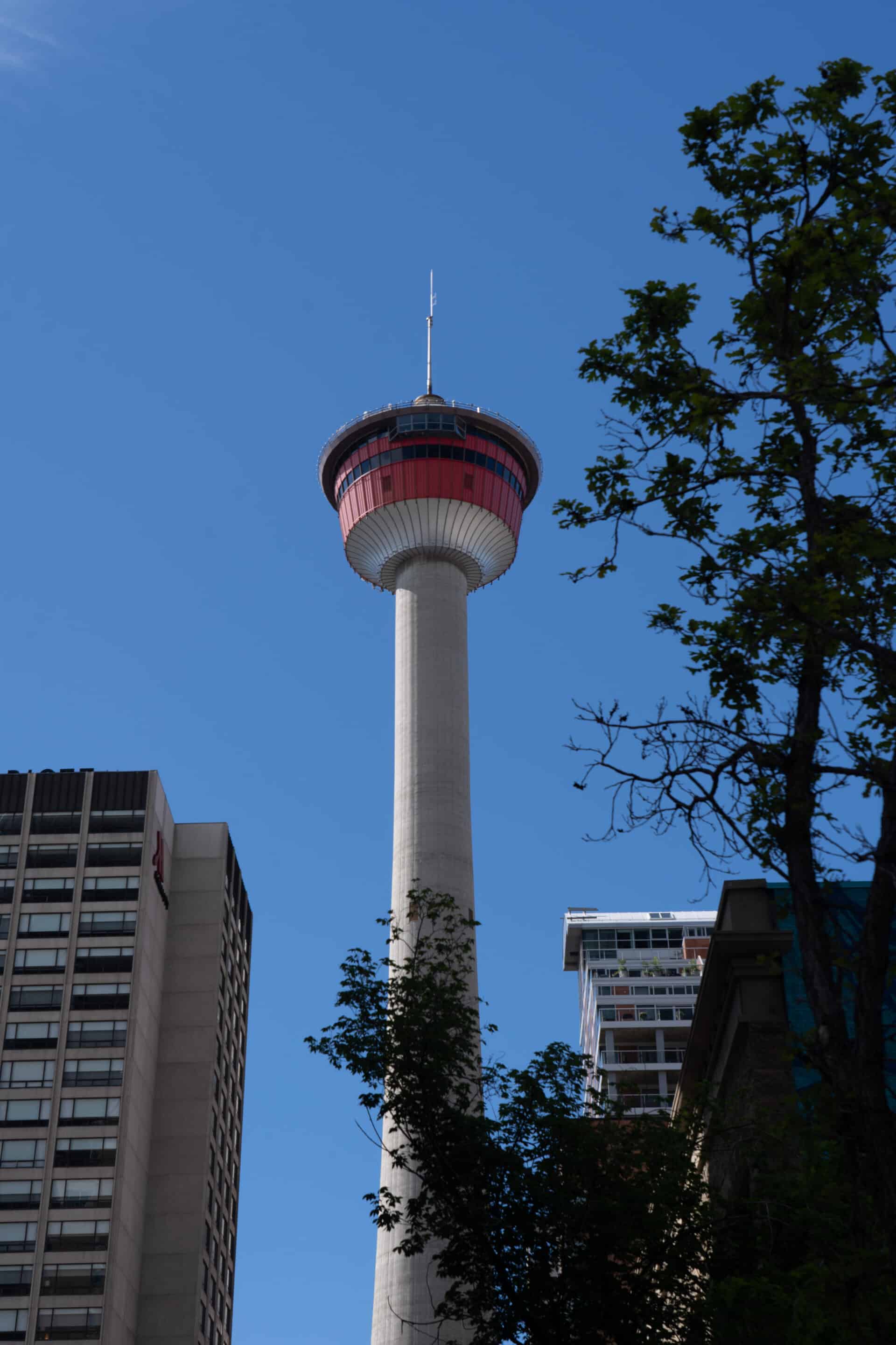 vue tour calgary