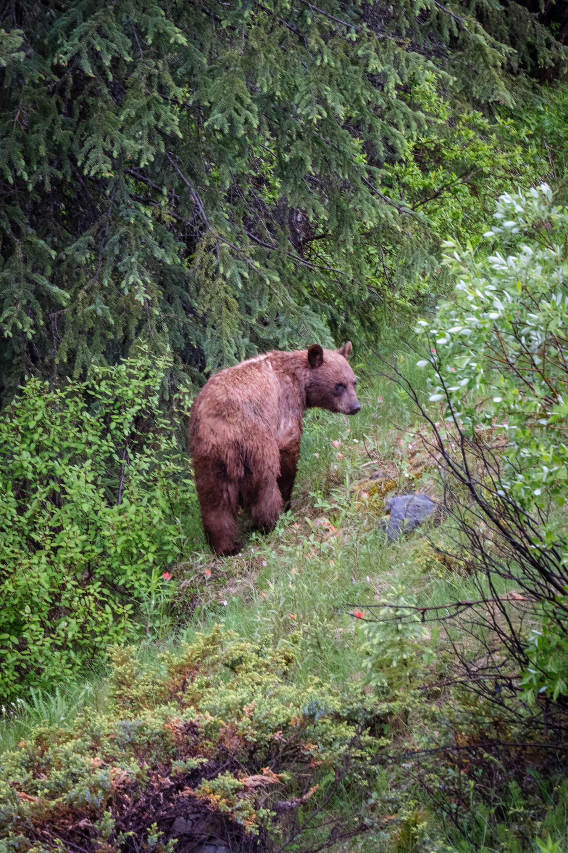 ours canada